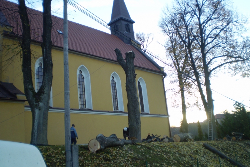 Vypílenie líp pri kostole 2015