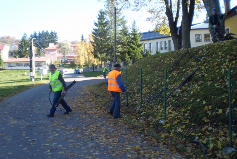 Vypílenie líp pri kostole 2015