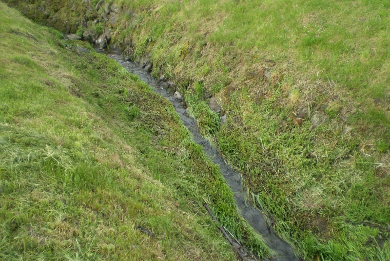 Čistenie potoka Žitava