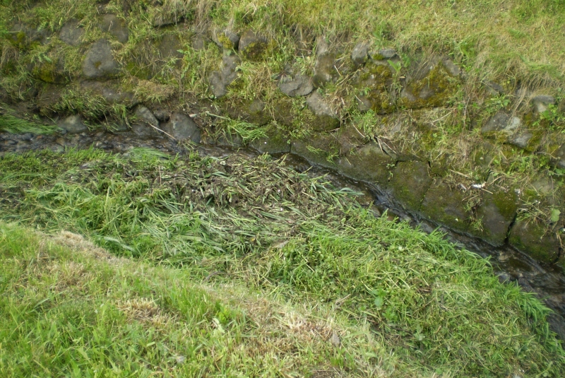 Čistenie potoka Žitava
