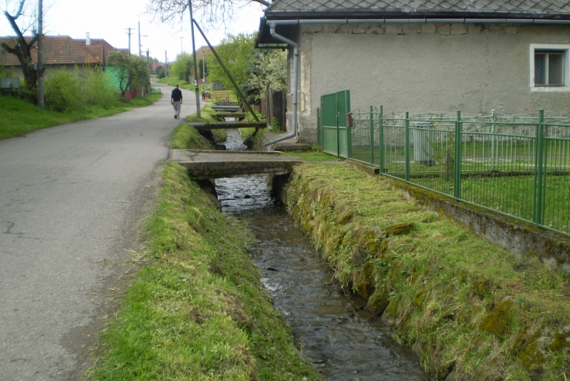 Čistenie potoka Žitava