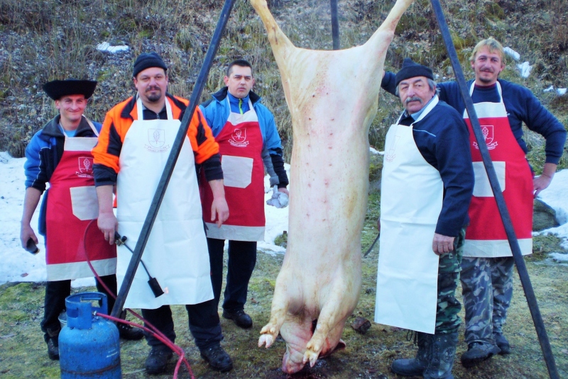 Gajdošské fašiangy 2017