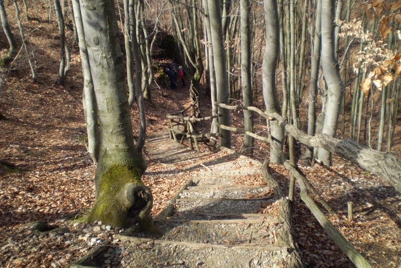 Turistická prechádzka k 800-ročnému Dubu cerovému 19.3.2017