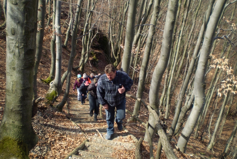 Turistická prechádzka k 800-ročnému Dubu cerovému 19.3.2017