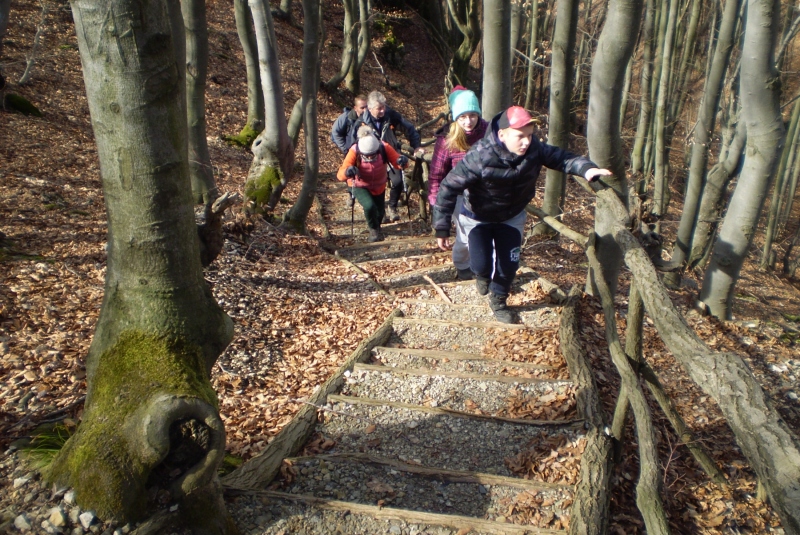 Turistická prechádzka k 800-ročnému Dubu cerovému 19.3.2017