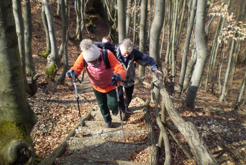 Turistická prechádzka k 800-ročnému Dubu cerovému 19.3.2017