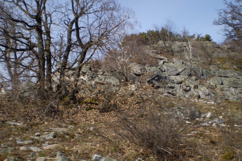 Turistická prechádzka k 800-ročnému Dubu cerovému 19.3.2017
