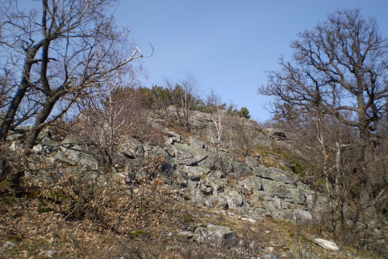 Turistická prechádzka k 800-ročnému Dubu cerovému 19.3.2017