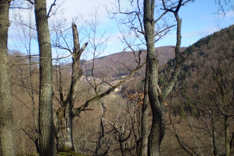 Turistická prechádzka k 800-ročnému Dubu cerovému 19.3.2017