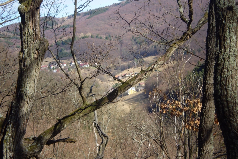 Turistická prechádzka k 800-ročnému Dubu cerovému 19.3.2017
