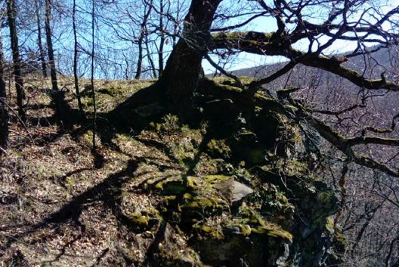 Turistická prechádzka do Jaďovej 26.3.2017