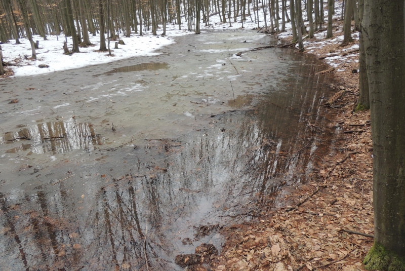 Turistická prechádzka na Novú Baňu 22.4.2017