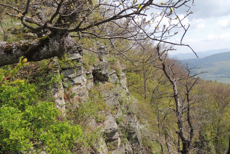 Turistická prechádzka na Novú Baňu 22.4.2017