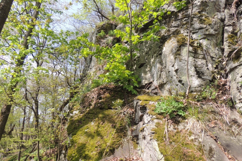 Turistická prechádzka na Novú Baňu 22.4.2017