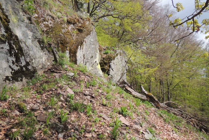 Turistická prechádzka na Novú Baňu 22.4.2017