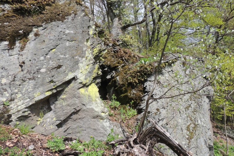 Turistická prechádzka na Novú Baňu 22.4.2017