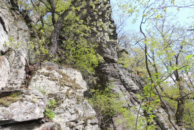 Turistická prechádzka na Novú Baňu 22.4.2017