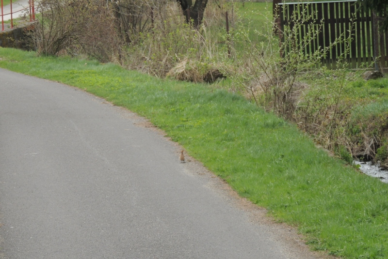 Turistická prechádzka na Novú Baňu 22.4.2017