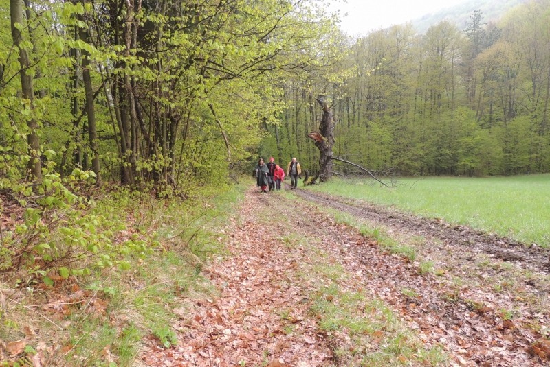 Turistická prechádzka na Novú Baňu 22.4.2017