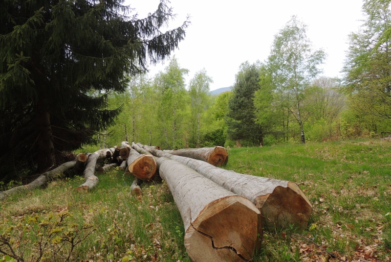 Turistická prechádzka na Dedinskú skalu 07.05.2017