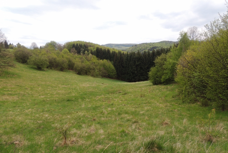 Turistická prechádzka na Dedinskú skalu 07.05.2017