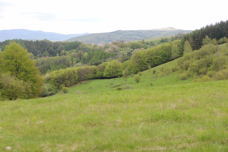 Turistická prechádzka na Dedinskú skalu 07.05.2017