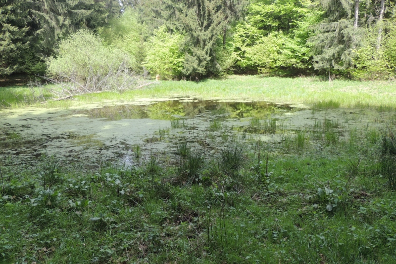 Turistická prechádzka na Mlynárov vrch 14.05.2017