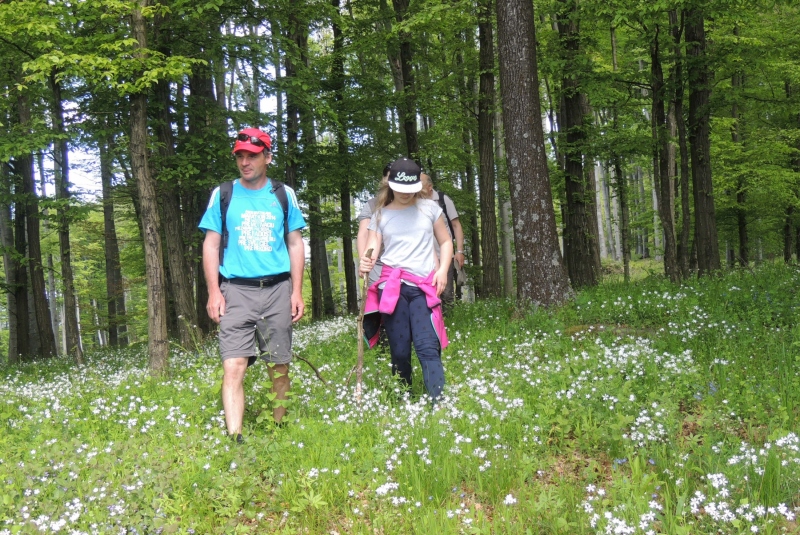 Turistická prechádzka na Mlynárov vrch 14.05.2017