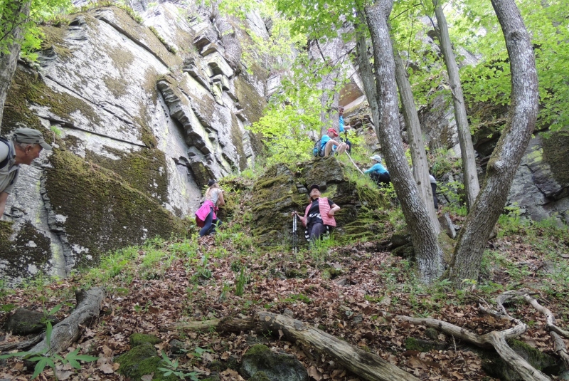 Turistická prechádzka na Mlynárov vrch 14.05.2017