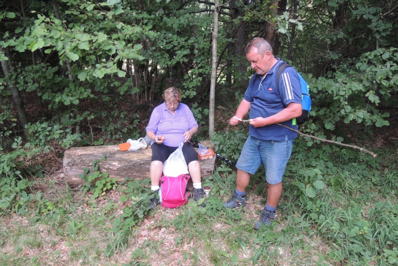 Turistická prechádzka k Masarykovej jedli 23.07.2017