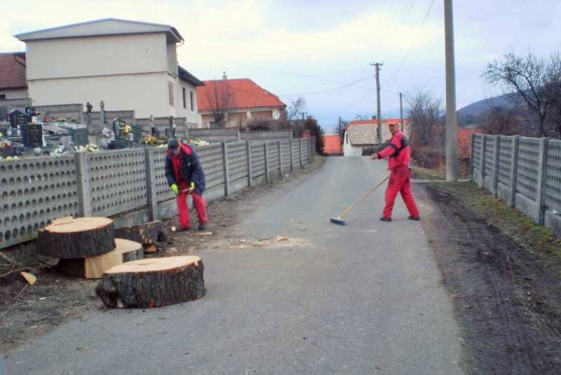 Vypílenie líp na cintoríne v roku 2018