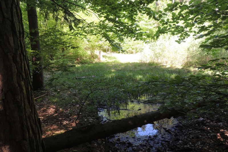 Turistická prechádzka na Hrošov vrch 06.05.2018