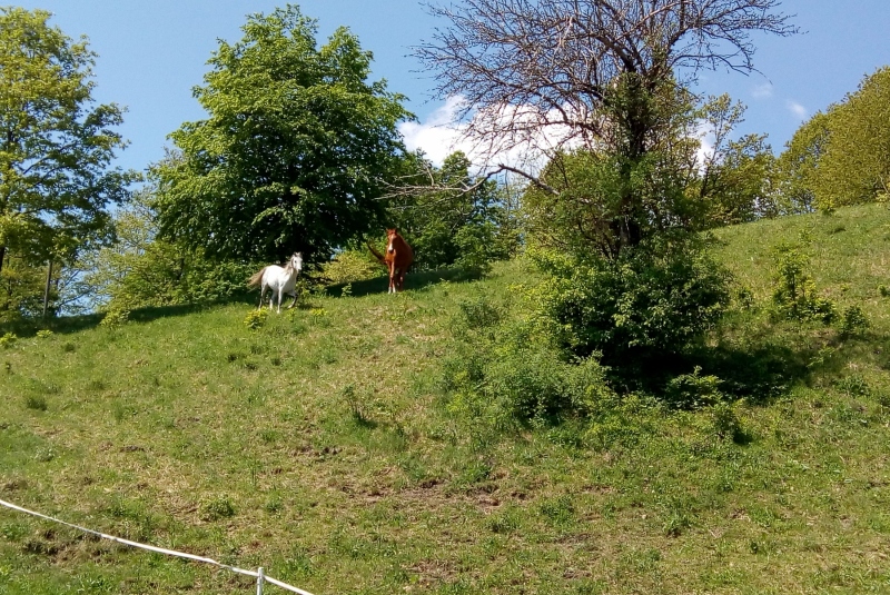 Turistická prechádzka na Hrošov vrch 06.05.2018