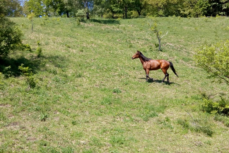 Turistická prechádzka na Hrošov vrch 06.05.2018