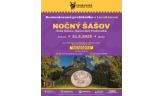 Komentovaná prehliadka Nočný Šášov 31.05.2025 